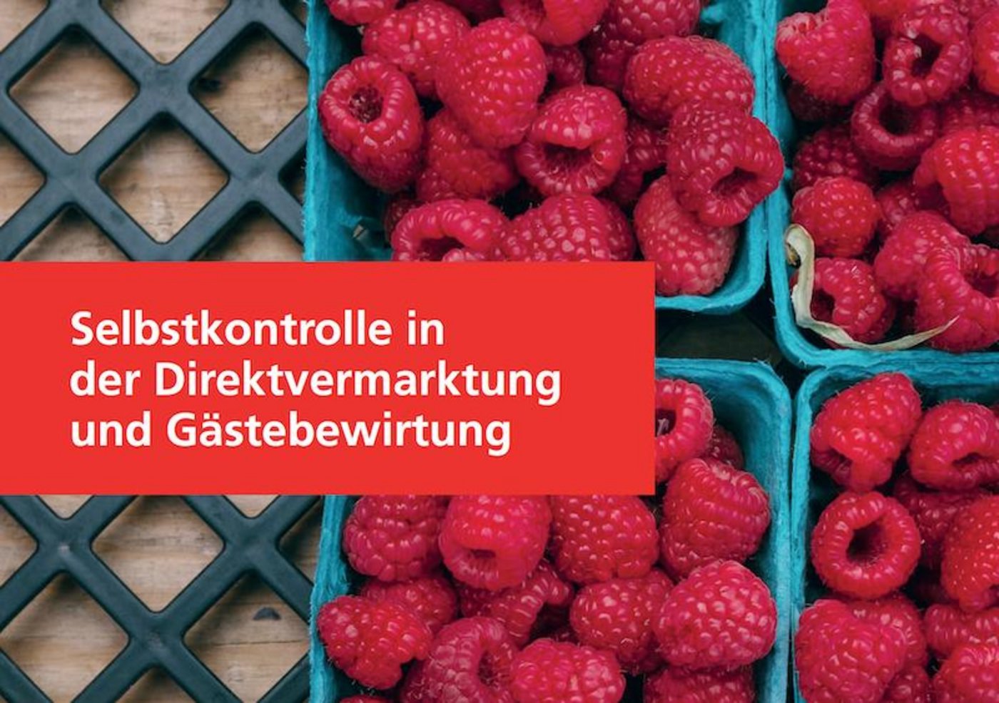 Der Ordner «Selbstkontrolle in der Direktvermarktung und Gästebewirtung» dient als Hilfsmittel beim Erstellen eines Selbstkontrlle-Konzepts. (Bild zVg)