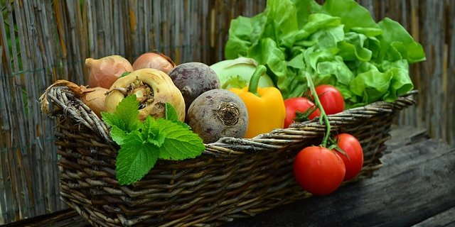 Immer mehr Konsumenten füllen ihre Einkaufskörbe mit Bio-Produkten. (Bild pixaby)