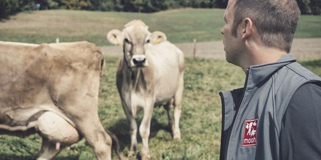 Die Mooh Genossenschaft ist mit knapp 3900 Milchproduzentinnen und –produzenten eine führende Milchproduzentenorganisation in der Schweiz. (Bild Phil Bucher / Mooh)