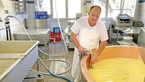 Rund 140 000 Kilo Mi Rund 140 000 Kilo Milch von fünf Alpen in der Umgebung verarbeitet Peter Betschart den Sommer über in der 2007 gebauten Alpkäserei Lipplisbüel.
