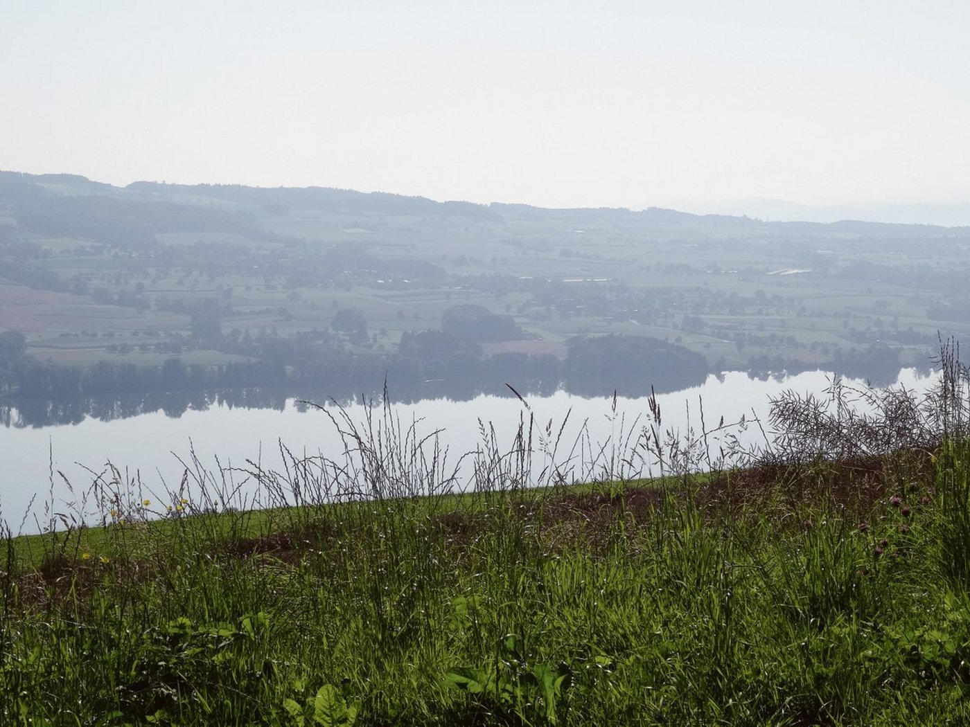 Der Luzerner Regierungsrat will weniger Phosphor im Baldeggersee (Bild), Hallwilersee und Sempachersee. Mit den verordneten Massnahmen sind nicht alle Betroffenen einverstanden.(Bild BauZ)