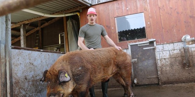 „Ich wusste sofort, das ist genau die Herausforderung, die ich suche“: Jungbauer Florian Oeler. (Bilder Eveline Dudda)