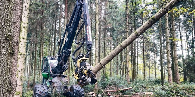 Moderne Holzernte im Wald: Beim Einsatz solcher Prozessoren ist der Informationsbedarf für die Bevölkerung gross. (