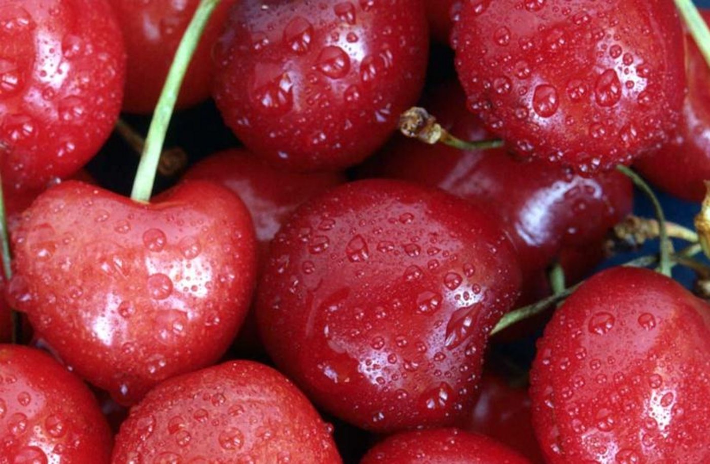 Die Preise für einige Obstsorten (Steinobst) sanken im Juni. (Bild BauZ)