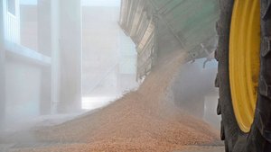 Die privaten Sammels Die privaten Sammelstellen nahmen 2023 unterdurchschnittliche Mengen an. Ein Thema bleibt die Qualität.