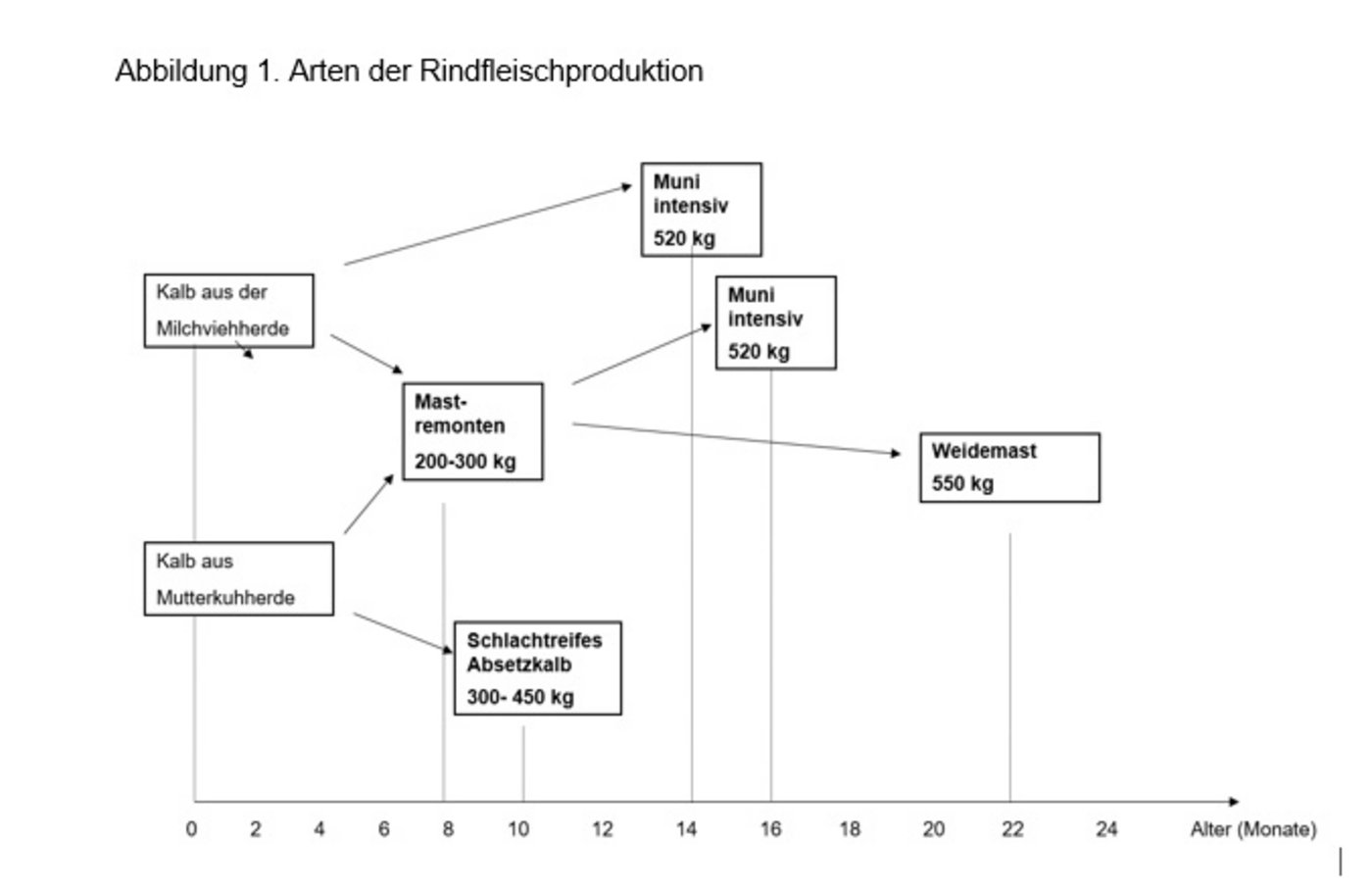 Die Grafik zeigt ie diversen Wege zum ausgemästeten Tier.