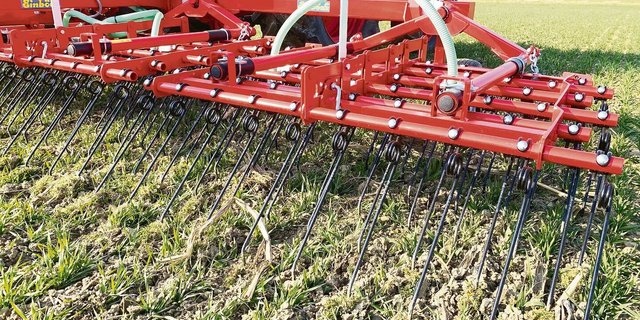 Je früher, desto vorsichtiger ist zu striegeln, je später, desto aggressiver.