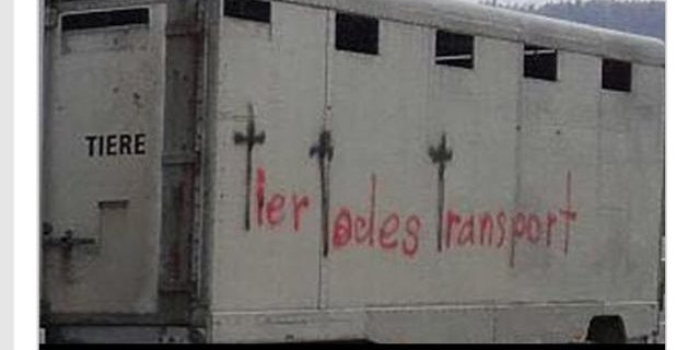 Tierschutztransporter wurden mit Hassparolen besprayt. (Bild Screenshot «20 Minuten»)
