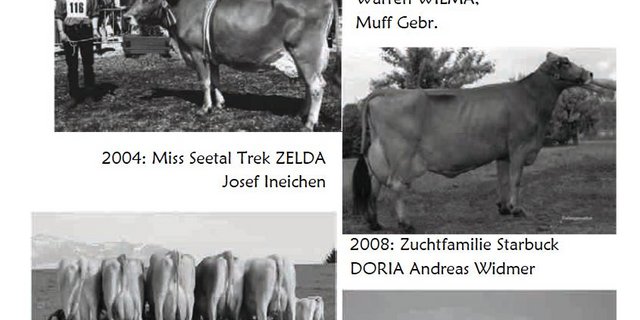 Ein Auszug aus der Chronik der Viehzuchtgenossenschaft Eschenbach LU. (Screenshot Katalog)