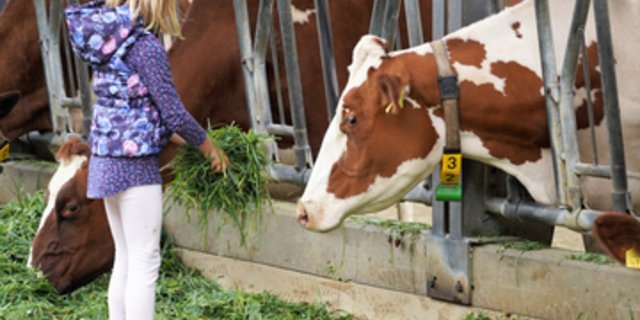 Durch den Kontakt mit Bauernhoftieren wird am Ebenraintag eine Brücke geschlagen zwischen der Bevölkerung und der Landwirtschaft. (Symbolbild stallvisite.ch)