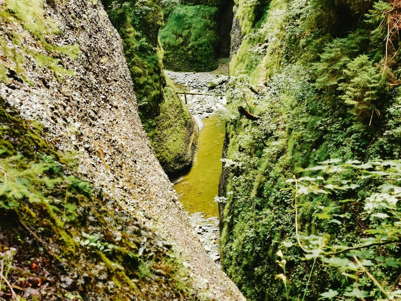 Dieses Bild des Räblochs entstand am 24. Juli 2020, exakt sechs Jahre nach dem verheerenden Unwetter am Oberlauf der Emme. Die BauernZeitungs-Redaktoren Peter Fankhauser und Simone Barth haben den Ort gemeinsam besucht. (Bild sb)