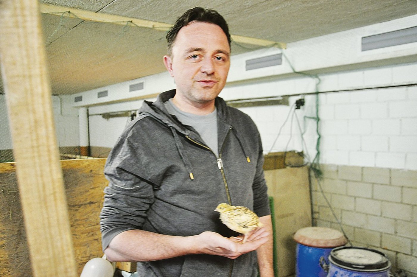 Dominik Fässler legt Wert darauf, dass die Küken schon von früh an Menschen gewöhnt sind. So werden sie ruhig und zahm. 						(Bild Alexandra Stückelberger)