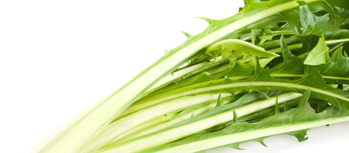 Catalogna sieht ähnlich aus wie Löwenzahn und wird in der Schweiz allmählich bekannter und ist mittlerweile auch einfacher erhältlich. (Bild Screenshot Gemüse.ch)