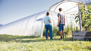 Die Bio-Kontrollen w Die Bio-Kontrollen werden auch heuer kommen. Die Vorbereitungscheckliste Bio-Kontrolle hilft, sich gut vorzubereiten, heisst es vonseiten Kontrollorganisation Bio Test Agro.