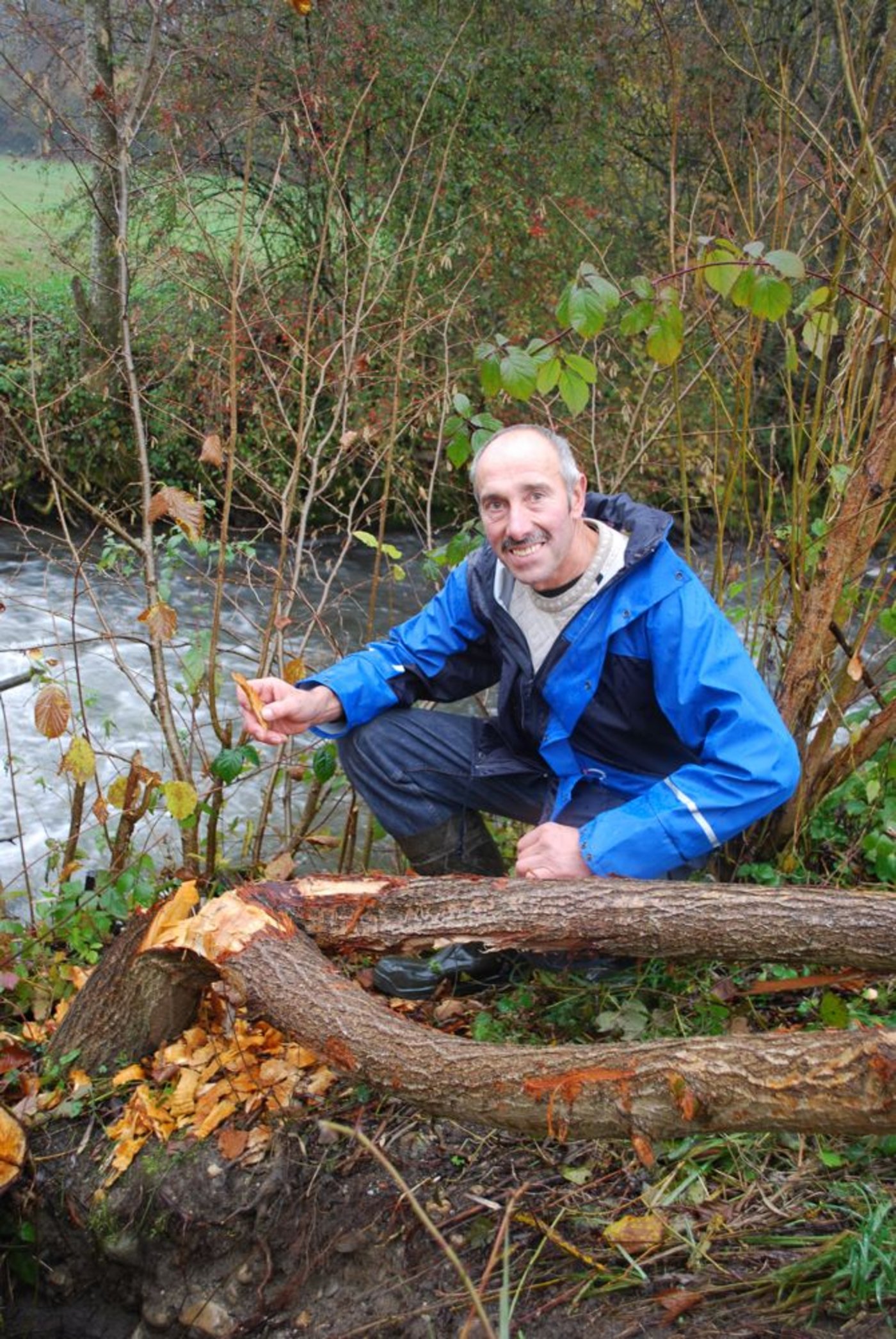 Rudolf Reinmann mit einem der neusten Werke des Bibers. Vor rund zehn Jahren ist der Biber auch an der Önz aufgetaucht. Der Biber ... (Bilder: Julia Schwery)