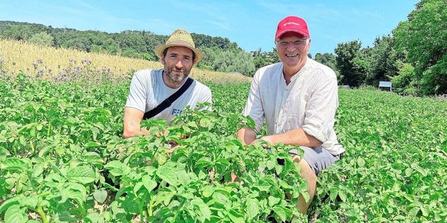 Die Co-Versuchsleiter des DOK, Hans-Martin Krause (links) vom FiBL, und Jochen Mayer von Agroscope führten Medienschaffende über das Gelände in Therwil BL. Ursprünglich entstand der Versuch mit dem Ziel, die Machbarkeit des Bio-Anbaus in der Schweiz wissenschaftlich zu überprüfen.