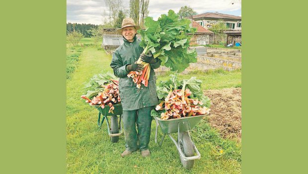 David Leuthard macht die Ausbildung zum Zierpflanzengärtner. Der junge Mann erklärt, warum er es liebt, Gärtner zu sein. (Bild David Leuthard)