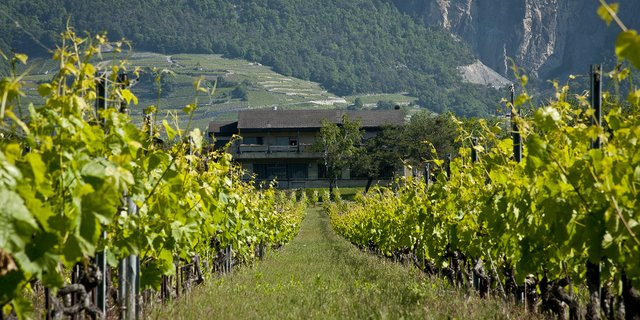 Mit der Zusammenarbeit wollen die Partner den Wissensaustausch verbessern und landwirtschaftliche Innovationen in der Praxis fördern. (Bild Agroscope)