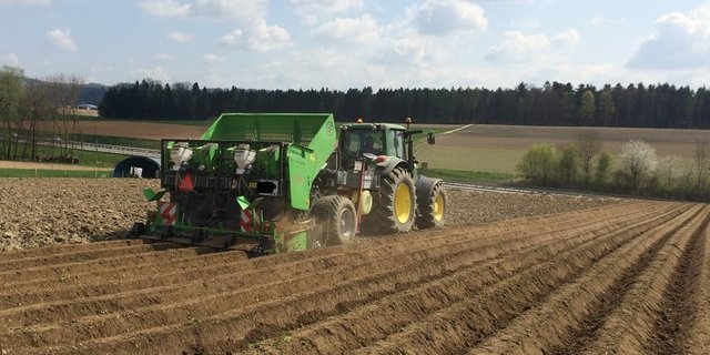 Swisspatat betont, Kartoffelproduzenten müssten ihren Anbau an den Abnehmer-Verträgen ausrichten. Besonders angesichts der vollen Lager mit Tiefkühl-Pommes-Frites. (Bild David Perler, Inforama Zollikofen) 
