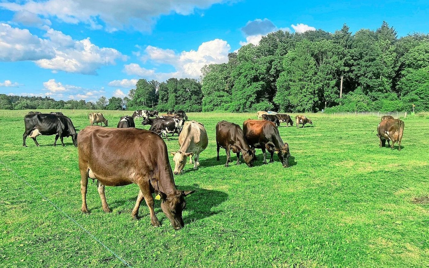 Vormähen ersetzt den Säuberungsschnitt. 