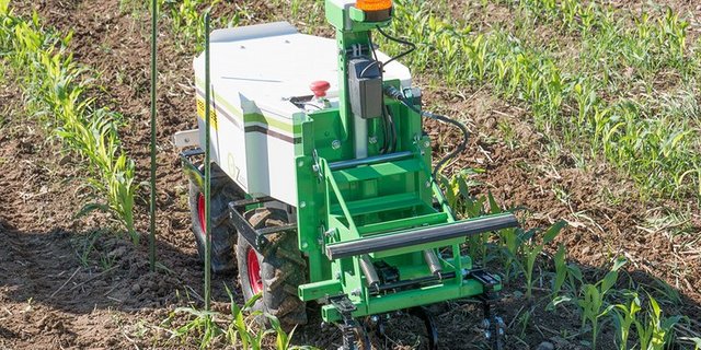 Autonome Hackroboter werden künftig auf biologisch und konventionell bewirtschafteten Äckern unterwegs sein. (ep)