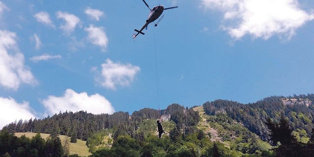Das eingeschläferte Rind wurde mit dem Helikopter ins Tal geflogen. (Bilder Jan Zbinden)