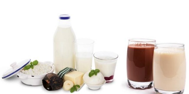 Die kanadische Firma Burco stellt z. B. Alternativen für Milchprodukte aus Linsenprotein her. (Bild Burcon)