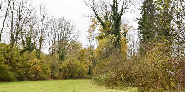 Artenreiche, gestufte Waldränder sind wertvolle Lebensräume und vernetzen den geschlossenen Wald mit dem Offenland. 