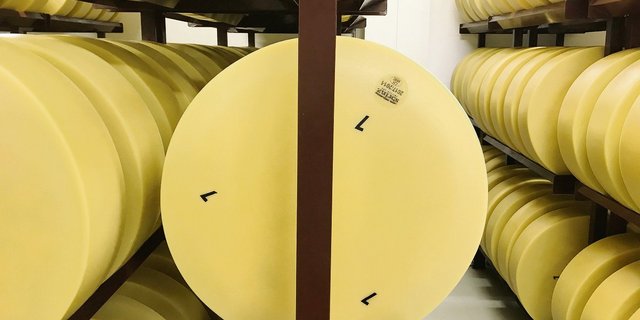 Wegen der langen Lagerdauer ist Sbrinz anfällig auf geschädigte Fettmoleküle. Dank technischem Fortschritt sieht die Sortenorganisation keinen Grund mehr für ein Verbot von Melkrobotern. (Bild akr)