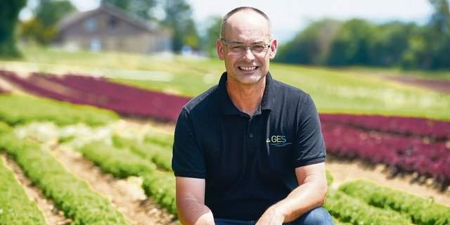 Viktor Hämmerli aus Brüttelen ist Vizepräsident der Genossenschaft Gemüse Erzeuger Seeland (GES). Er ist dort auch stellvertretender Leiter Arbeitsgruppe QS/Label/Soziales.