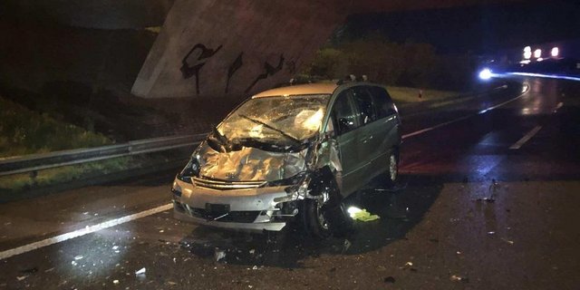 Verkehrsunfall mit einer Kuhherde auf der A12 in Matran. (Bild Staat Freiburg)
