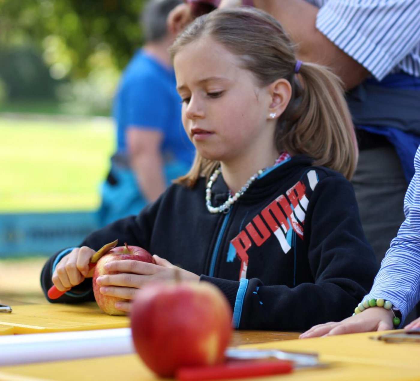 Eine Bauernhofolympiade bietet den perfekten Rahmen für Nichtbauern, Reisen und Ferien machen mit einem einmaligen Erlebnis zu verbinden. (Bild: zVg)