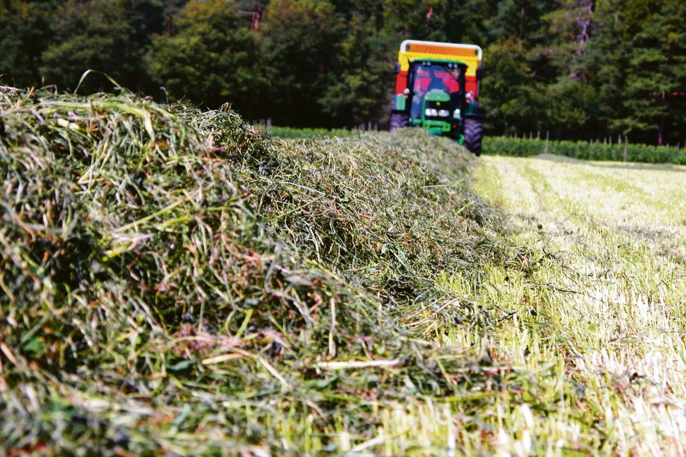 Ernteverfahren sollten optimal aufeinander abgestimmt sein, um Produktionsaufwand und Arbeitsbelastung zu reduzieren.(Bild BauZ)