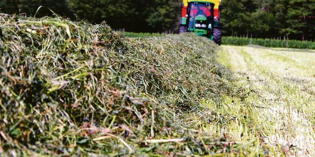Ernteverfahren sollten optimal aufeinander abgestimmt sein, um Produktionsaufwand und Arbeitsbelastung zu reduzieren.(Bild BauZ)