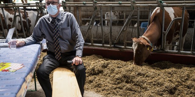 Da war die Anspannung noch gross: Nationalrat und SBV-Präsident Markus Ritterverfolgt die ersten Resultate der Agrarinitiativen am Sonntag in Oberbottigen bei Bern. (Bild Keystone/Alessandro della Valle)