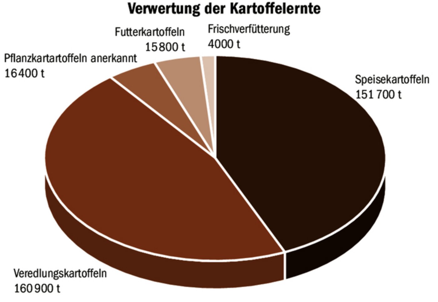 Rösti, Pommes frites und ähnliche Produkte: Der grösste Teil der Schweizer Kartoffelernte wird vom Konsumenten verarbeitet gekauft.