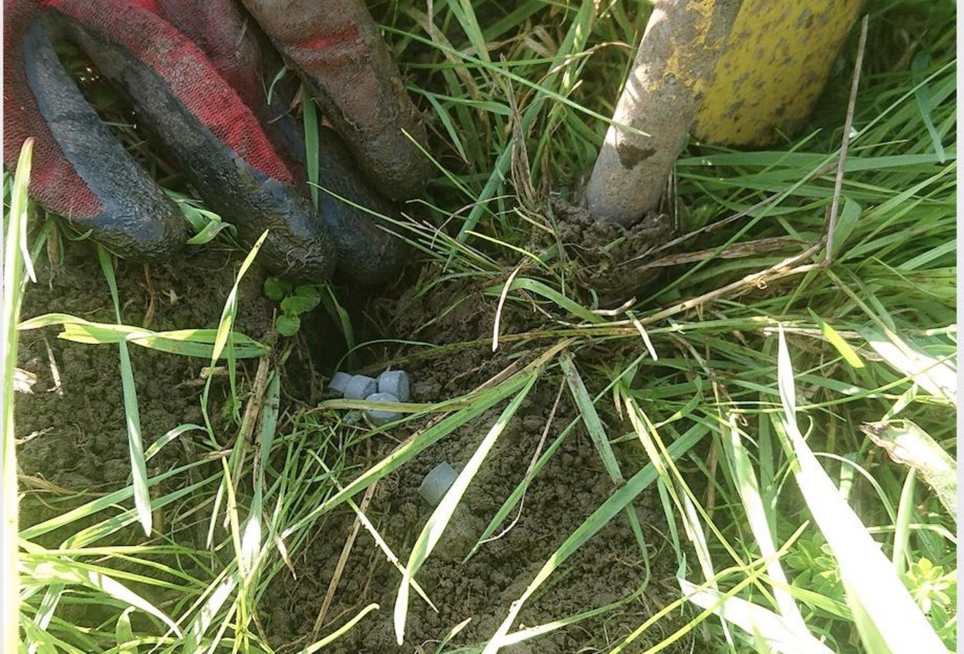 Einsatz von «Cobra forte» im Wiesland. (Bilder Marco Odermatt)