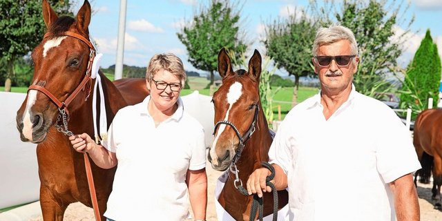 1. Rang bei den Stutfohlen für Elody (Epesses) von Cécile und Pius Estermann aus Nottwil.