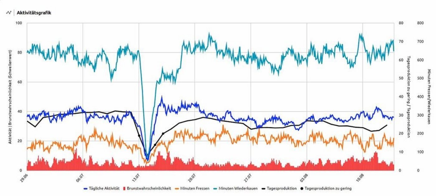 In hellblau schön ersichtlich ein Rückgang der Wiederkautätigkeit. Dank des Lely-Responders kann laut Landwirt Thomas Gisler bereits frühzeitig gehandelt werden und die Kühe fallen nicht so stark in der Milchleistung.  