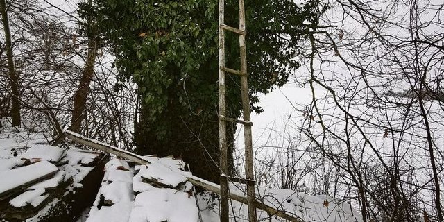 Wer auf diese Leiter steigt, setzt sich einem gewissen Risiko aus. Zeit für eine sicherere Lösung?