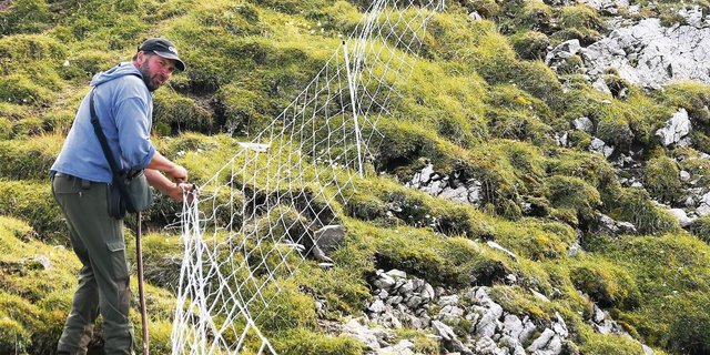 Rund sechs Kilometer Herdenschutz- und Weidezaunnetze stellte Saro Keinath diesen Sommer auf den Alpweiden.	