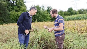 Für Dany Schulthess Für Dany Schulthess vom Zürcher Kompetenzzentrum Strickhof ist der Schweizer Kichererbsenanbau eine Herzensangelegenheit.