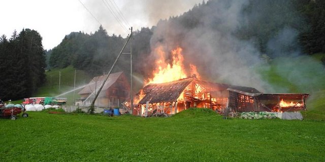 Beim Brand brannte Stall und Remisen komplett ab. (Bild Kantonspolizei Schwyz)