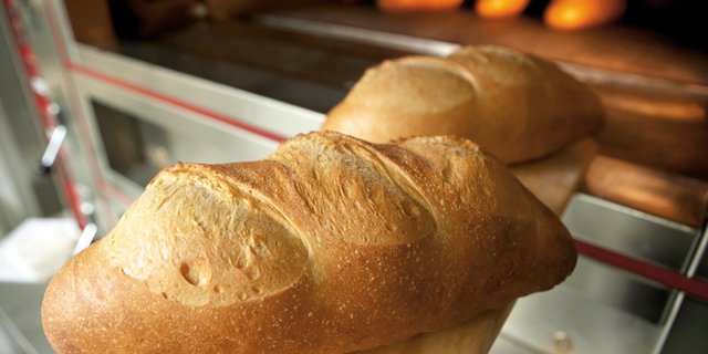 Beim Backtest zeigten ebenfalls die Sorten Runal, gefolgt von Hanswin und Forel besonders vielversprechende Resultate. (Bild Richemont)