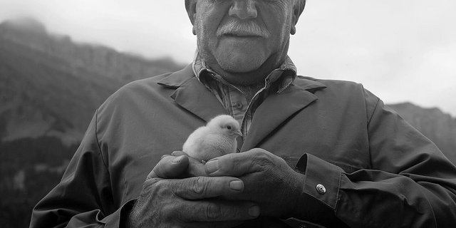 Nach all den Jahren ist Lehmeli Chrigu überzeugt, dass das Huhn, nicht das Ei, zuerst da war.