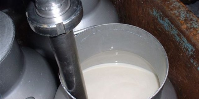 Die SV ist überzeugt, dass die Situation des Molkereimilchmarktes nur über eine Mengensteuerung verbessert werden könne. (Bild BauZ)