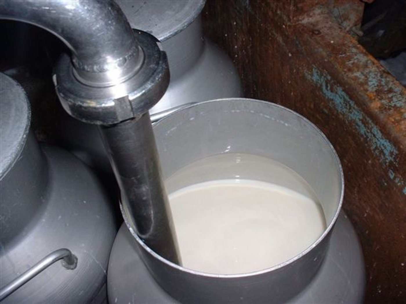 Die SV ist überzeugt, dass die Situation des Molkereimilchmarktes nur über eine Mengensteuerung verbessert werden könne. (Bild BauZ)