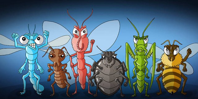 Pro Natura setzt sich für die Insekten ein. (Bild Pro Natura)