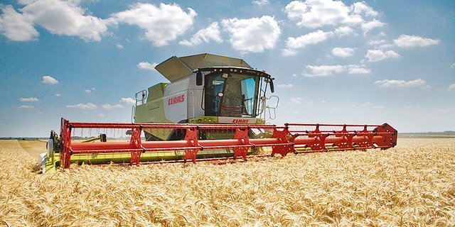 Aktuell läuft die Gerstenernte in der ganzen Schweiz auf Hochtouren. Die allerersten Ablieferungen enthielten noch grüne Körner, aber jetzt ist die Reife optimal. Trotz Gewittern wird die Gerste meistens mit einem Wasseranteil von 14,5 Prozent oder weniger geliefert.(Bild Zvg)