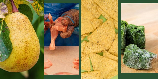 Von den Agrar-Initiativen besonders betroffen wären laut dem St. Galler Bauernverband Spezial- sowie gewisse Ackerkulturen und die Geflügel- und Schweinebetriebe – damit auch die nachgelagerten Betriebe. (Bilder Pixabay NickyPe, viarami, No-longer-here / St. Galler Bauernverband) 